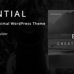 Essential – Responsive Minimal WordPress Theme free download