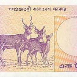 একটি দোয়েলের দাম দুই টাকা হলে তিনটি হরিণের দাম কত?