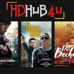 hdhub4u সাইট থেকে মুভি ডাউনলোড করা কি নিরাপদ?