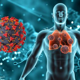 Understanding the Science Behind Steroids: How They Work in the Body